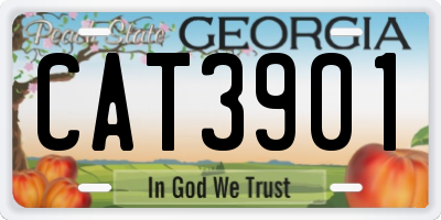 GA license plate CAT3901