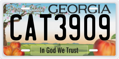 GA license plate CAT3909