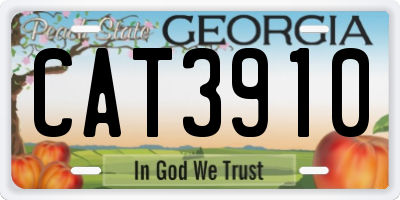 GA license plate CAT3910