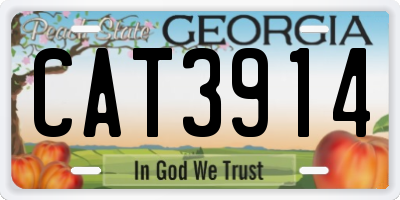 GA license plate CAT3914