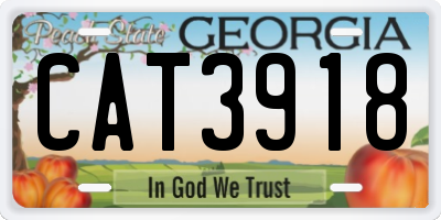 GA license plate CAT3918