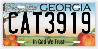 GA license plate CAT3919