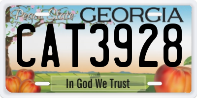 GA license plate CAT3928