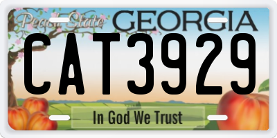 GA license plate CAT3929