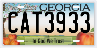 GA license plate CAT3933