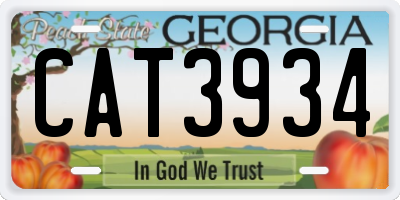GA license plate CAT3934