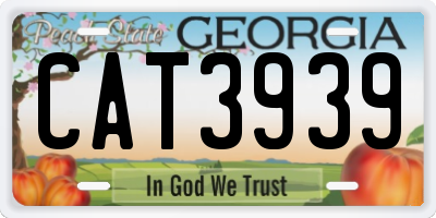 GA license plate CAT3939