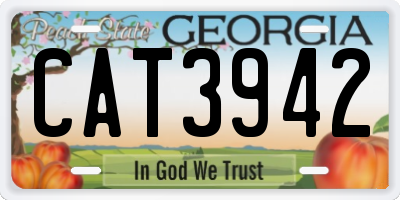 GA license plate CAT3942