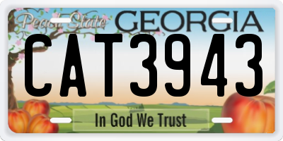 GA license plate CAT3943