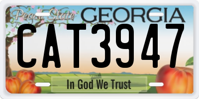 GA license plate CAT3947
