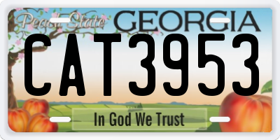 GA license plate CAT3953