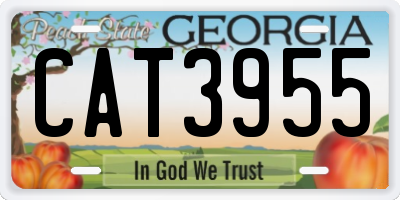 GA license plate CAT3955