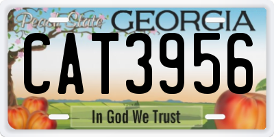 GA license plate CAT3956