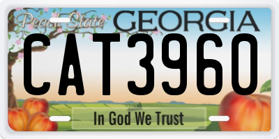 GA license plate CAT3960