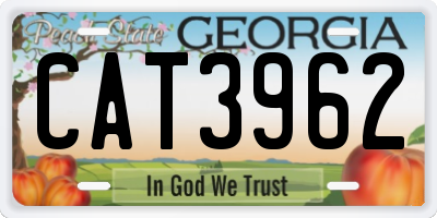 GA license plate CAT3962