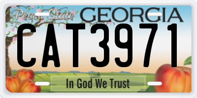 GA license plate CAT3971