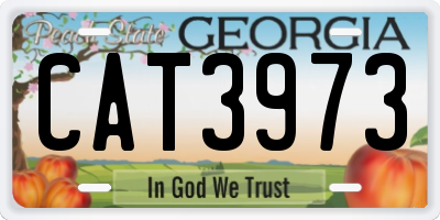 GA license plate CAT3973