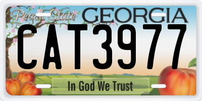 GA license plate CAT3977