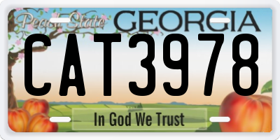 GA license plate CAT3978
