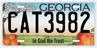 GA license plate CAT3982