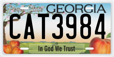 GA license plate CAT3984