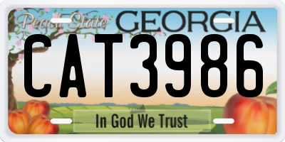 GA license plate CAT3986