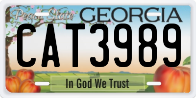 GA license plate CAT3989