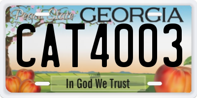 GA license plate CAT4003