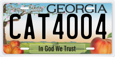 GA license plate CAT4004