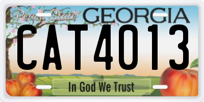 GA license plate CAT4013