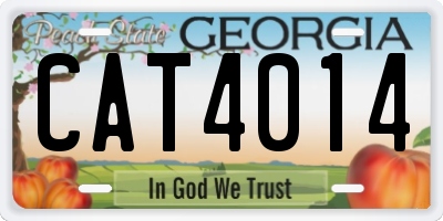 GA license plate CAT4014