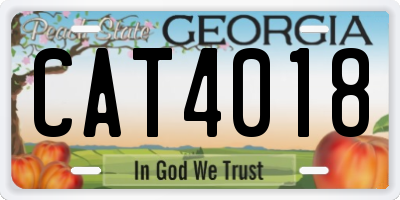 GA license plate CAT4018