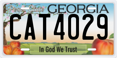 GA license plate CAT4029