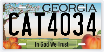 GA license plate CAT4034