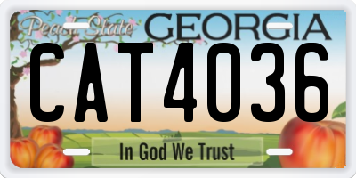 GA license plate CAT4036