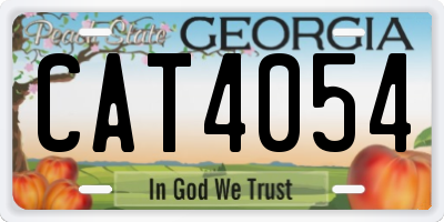 GA license plate CAT4054