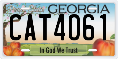 GA license plate CAT4061