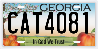 GA license plate CAT4081