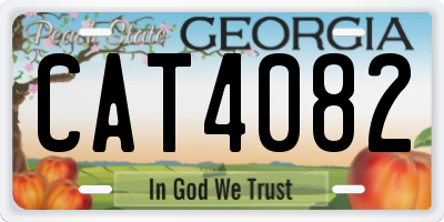 GA license plate CAT4082
