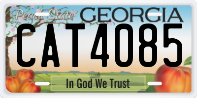 GA license plate CAT4085