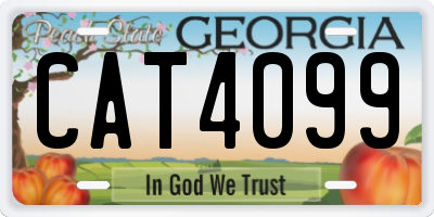 GA license plate CAT4099