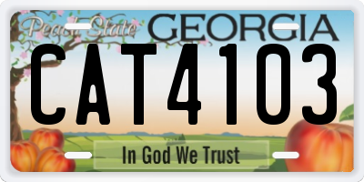 GA license plate CAT4103