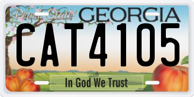 GA license plate CAT4105