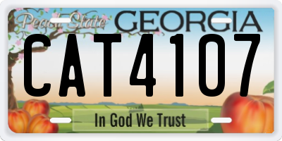 GA license plate CAT4107