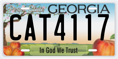 GA license plate CAT4117