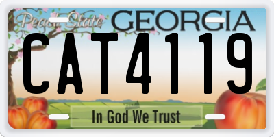 GA license plate CAT4119