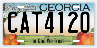 GA license plate CAT4120