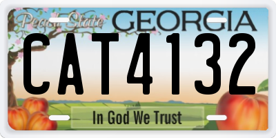 GA license plate CAT4132