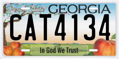 GA license plate CAT4134