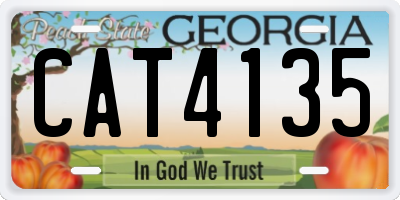 GA license plate CAT4135